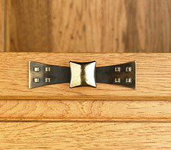 Top Knobs Gold Hardware Pull